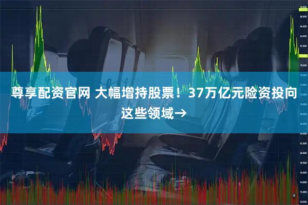尊享配资官网 大幅增持股票！37万亿元险资投向这些领域→